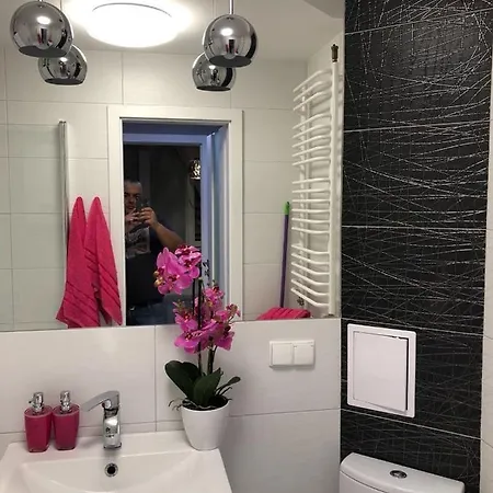 Ekskluzywny Joanna W Centrum Bochni Apartment